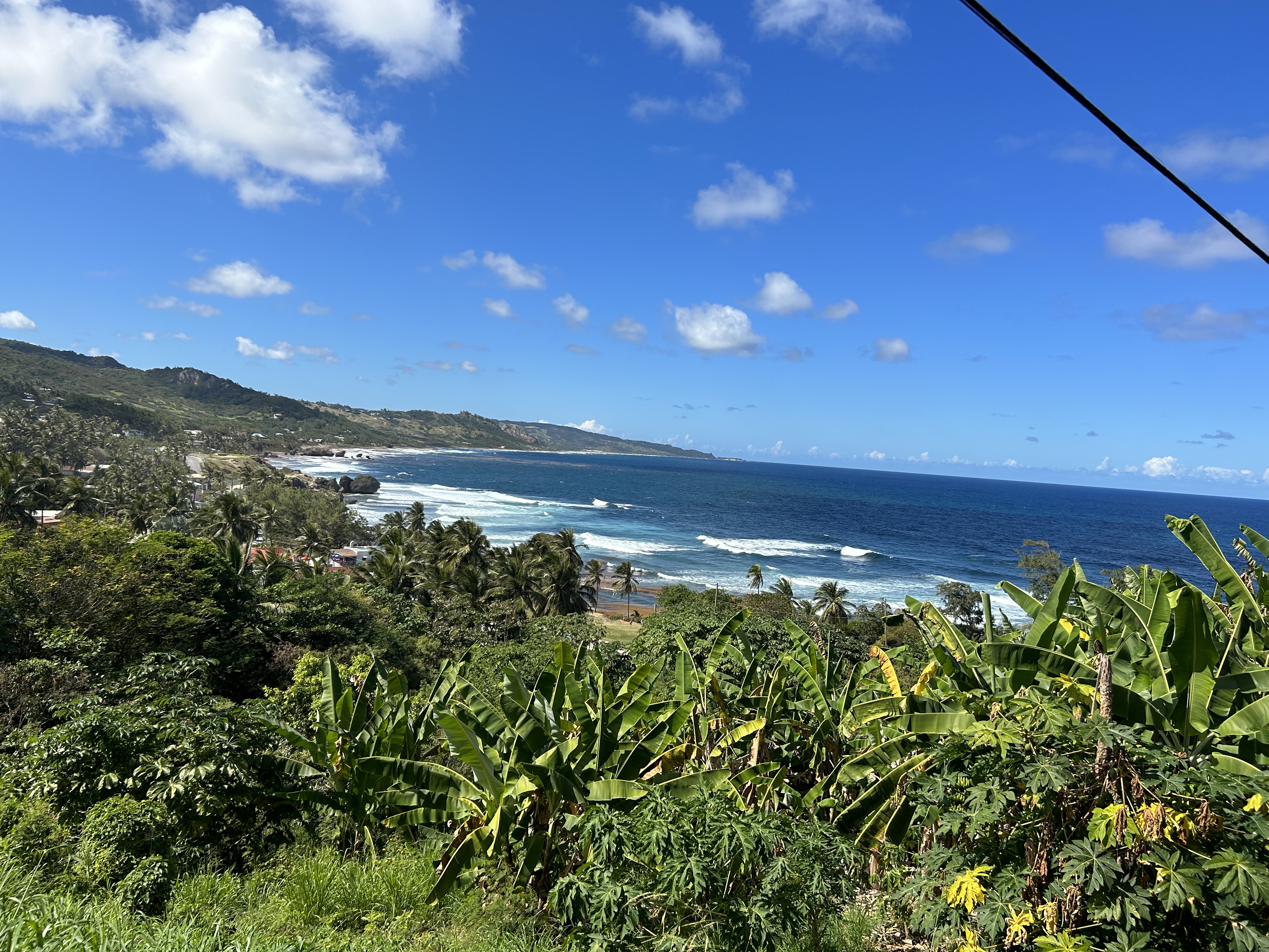 Barbados Be Trippin'