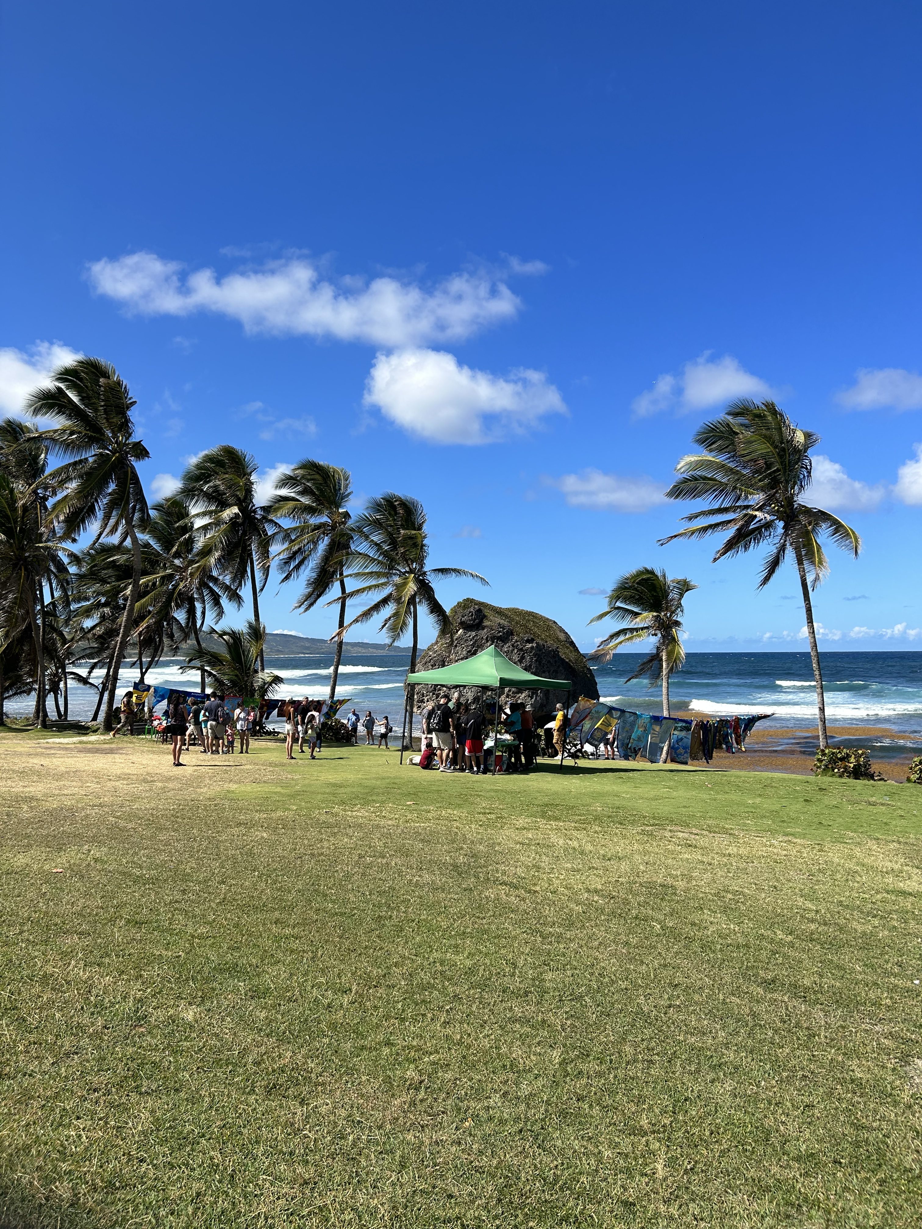 Barbados Be Trippin'