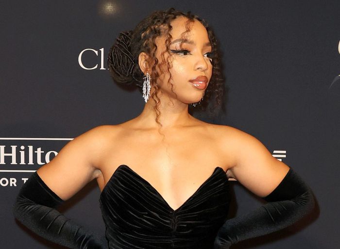 Pre-GRAMMY Gala & GRAMMY Salute To Industry Icons Honoring Julie Greenwald & Craig Kallman - Arrivals