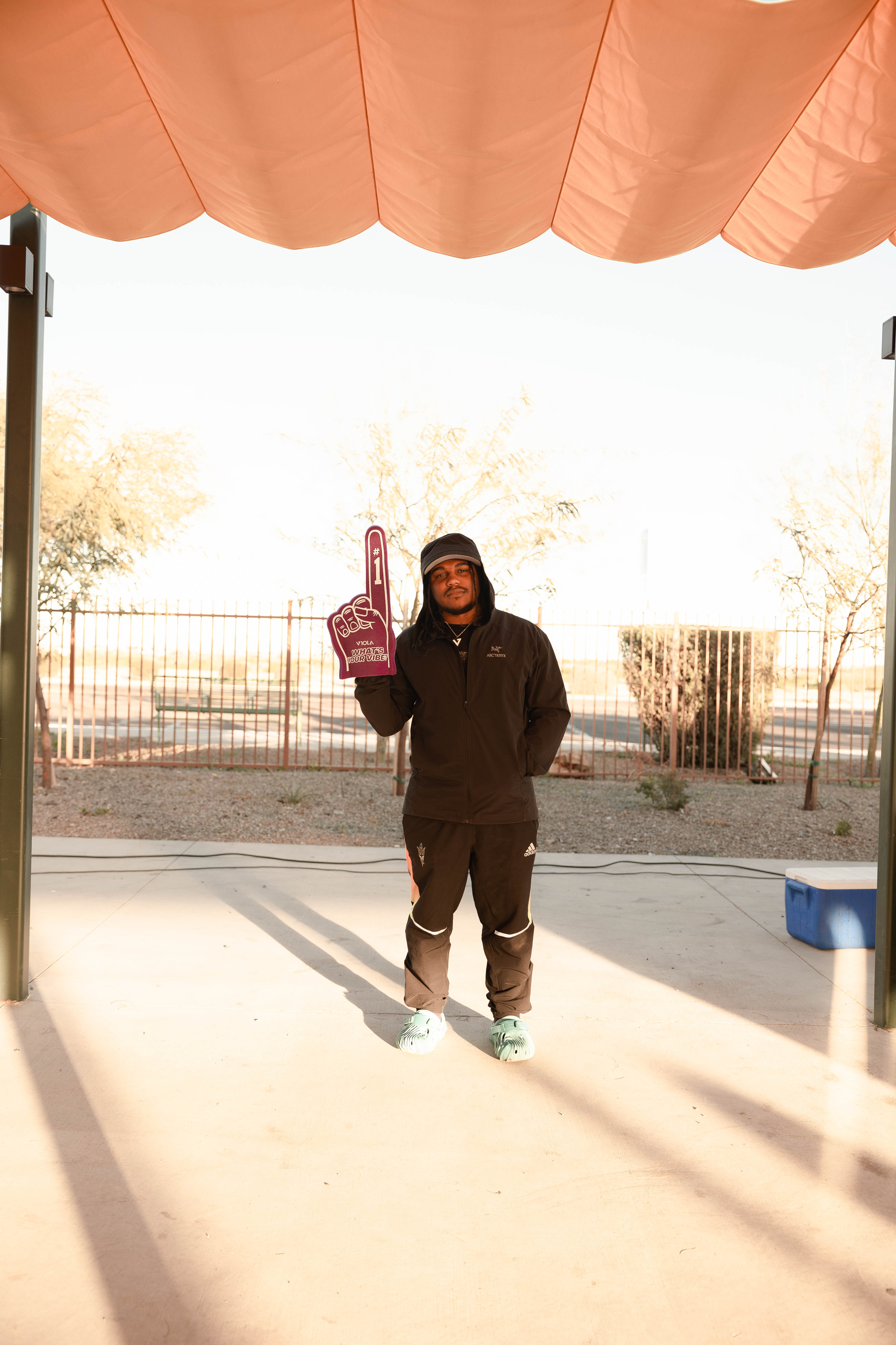 Viola Brands Super Bowl LVII