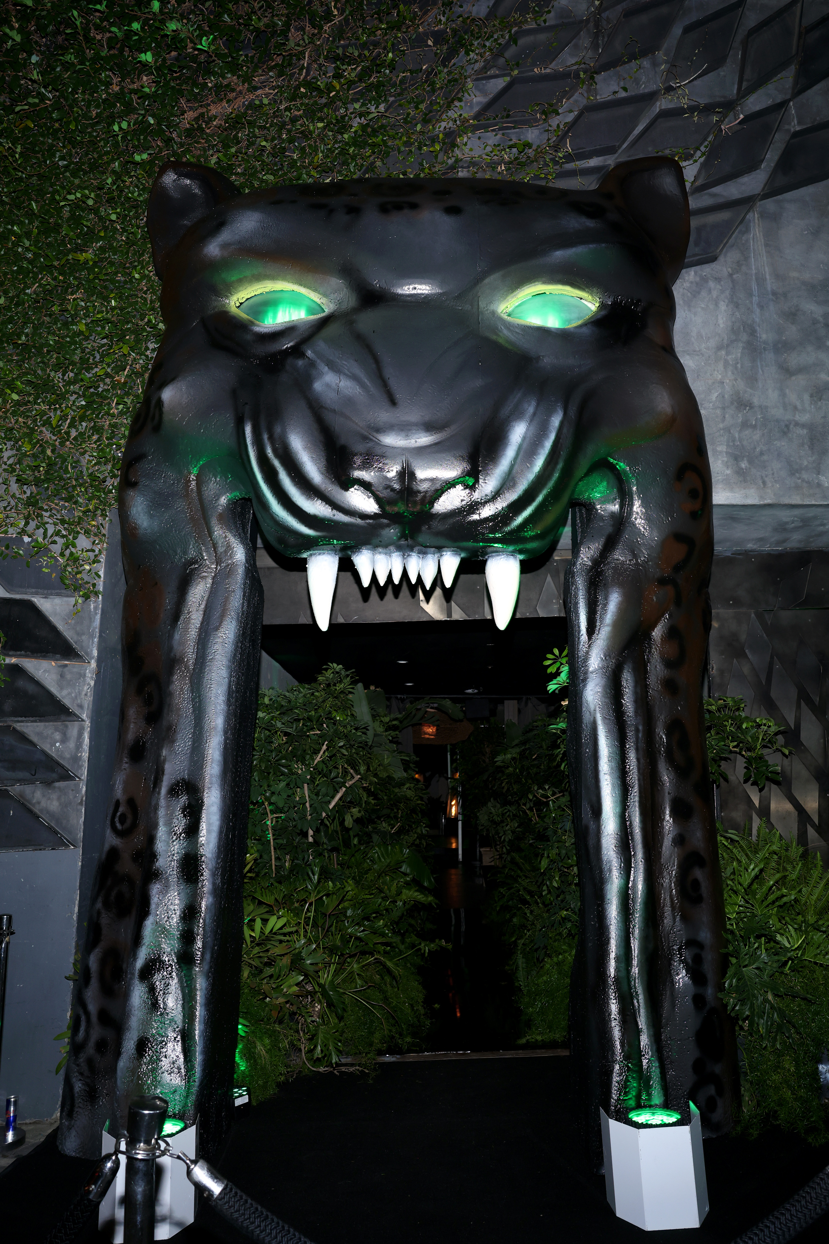 Victoria Monet 'Jaguar II' party assets