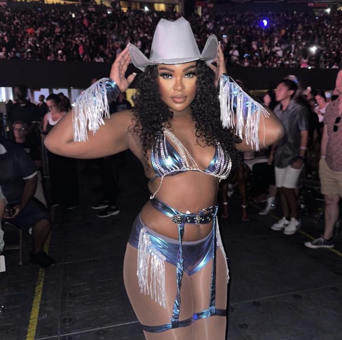 Beyoncé 'Renaissance' World Tour assets