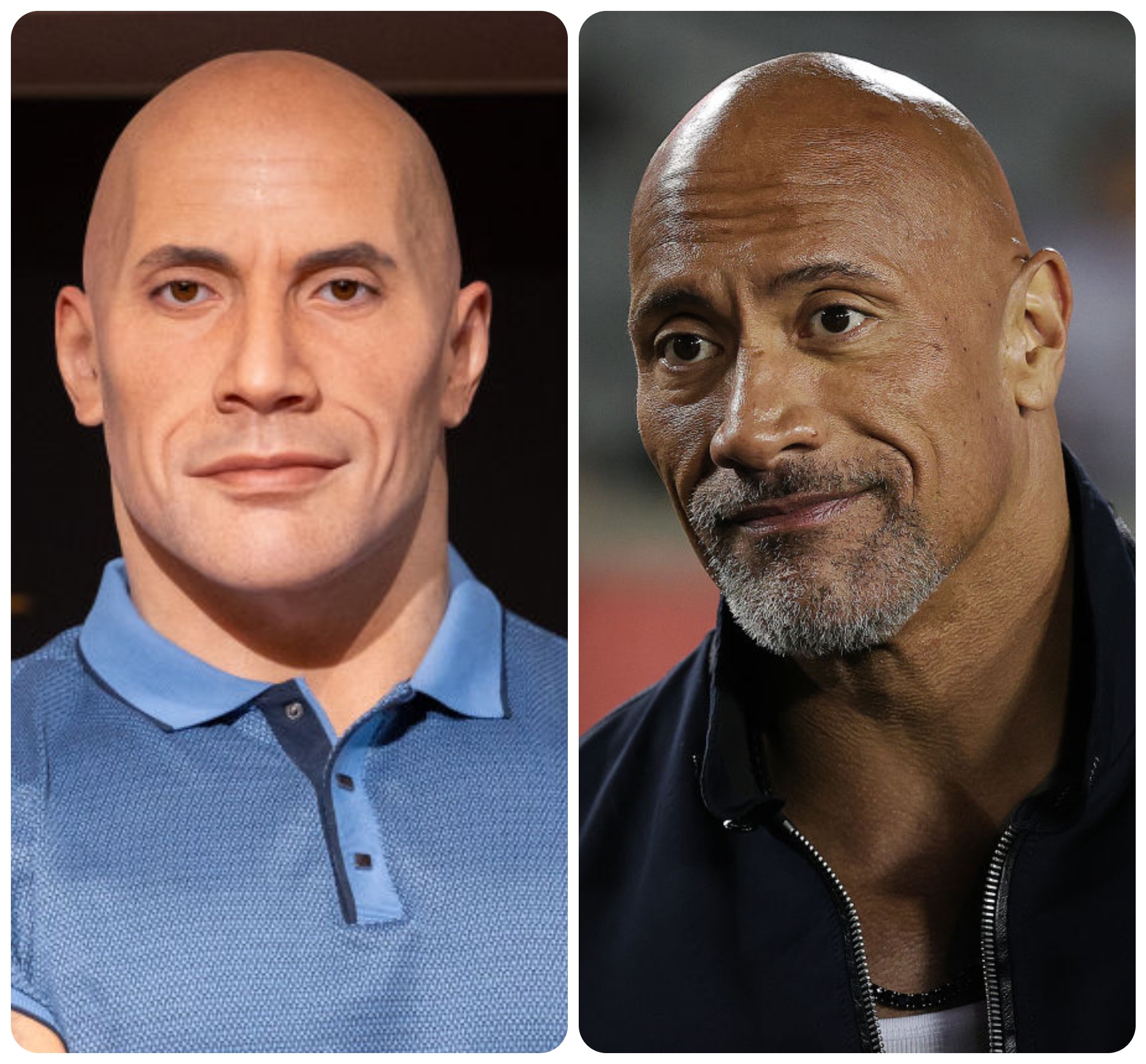 Dwayne Johnson Wax Figure