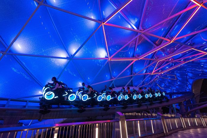 Disney World assets