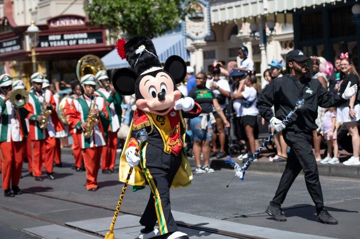 Disney World assets