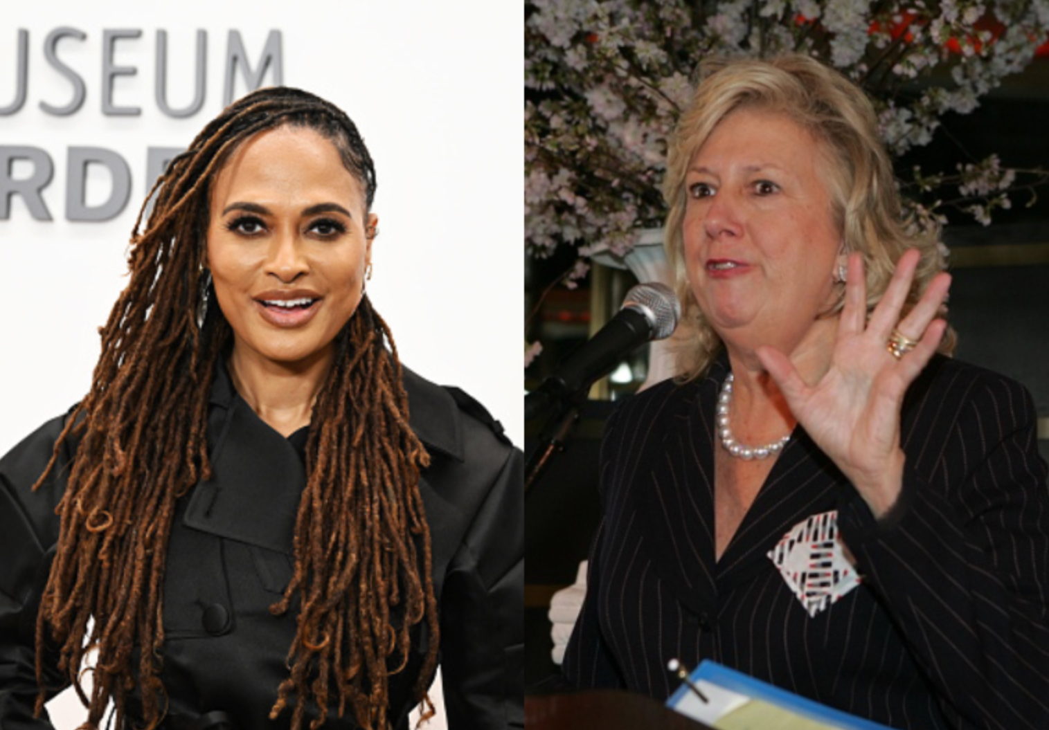 Ava Duvernay Linda Fairstein