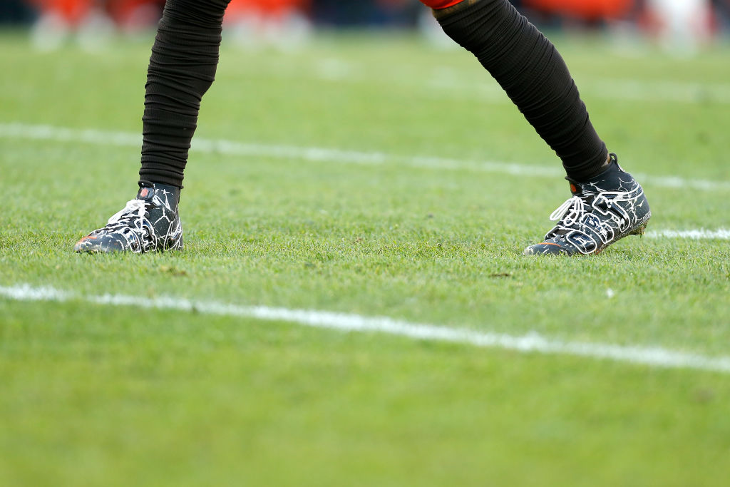 Miami Dolphins v Cleveland Browns