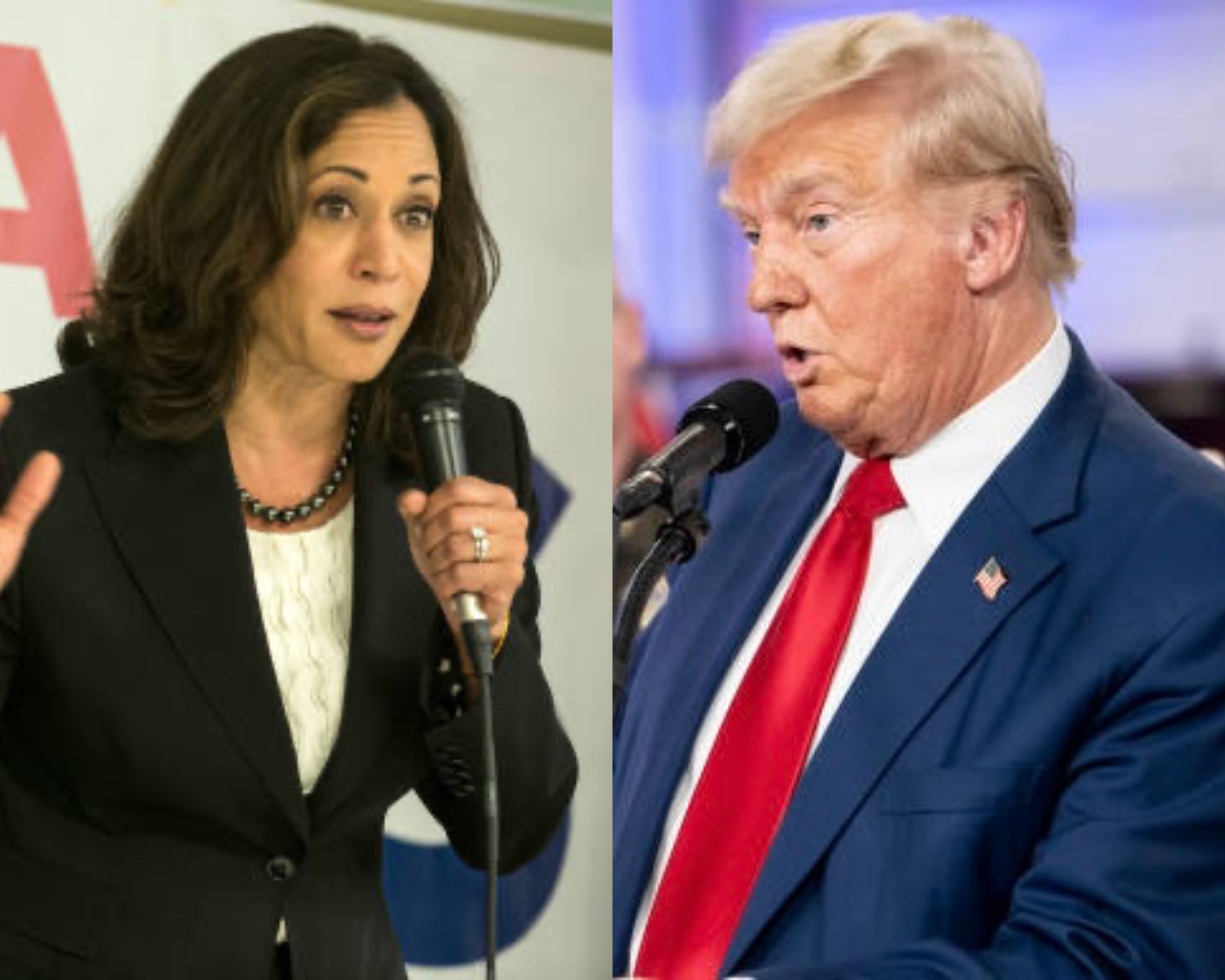 Donald Trump Kamala Harris