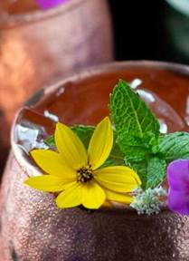 Jalisco Mule
