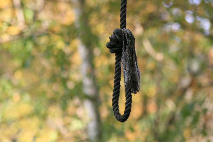 Hangman's noose