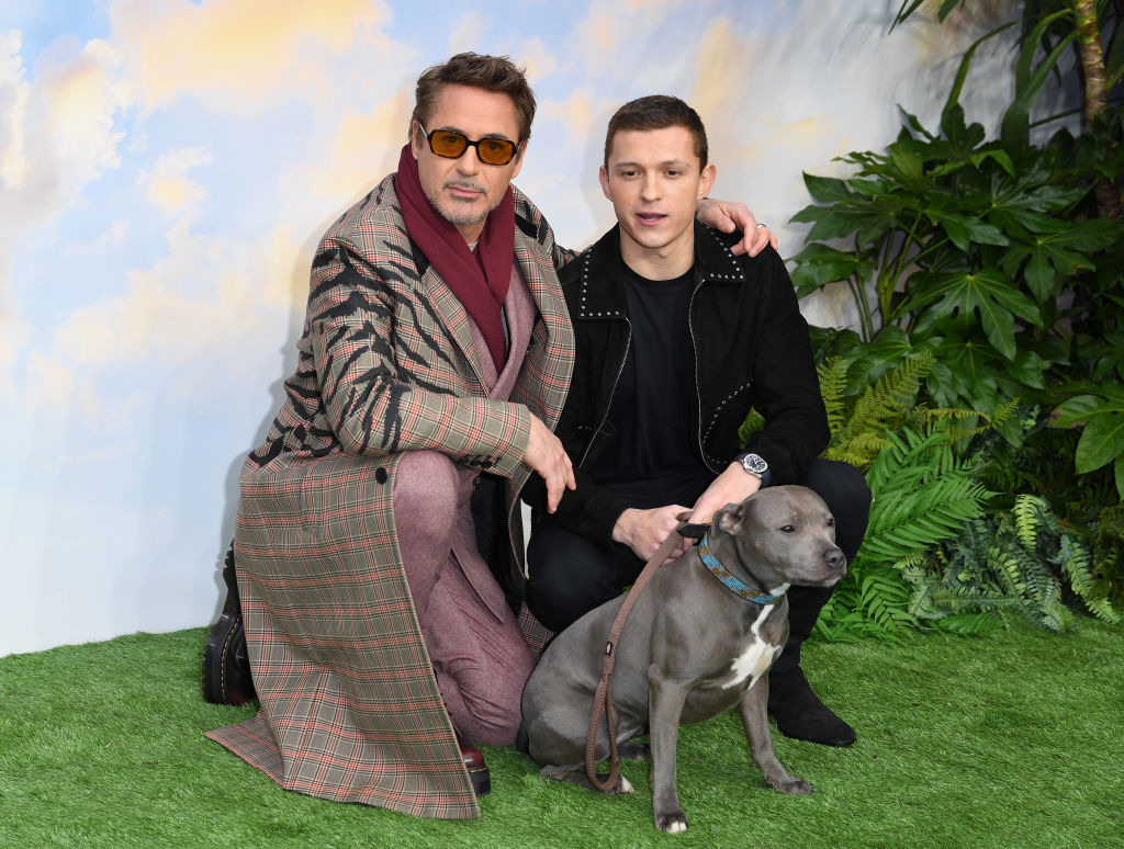 Tom Holland - "Dolittle" Special Screening - Red Carpet Arrivals