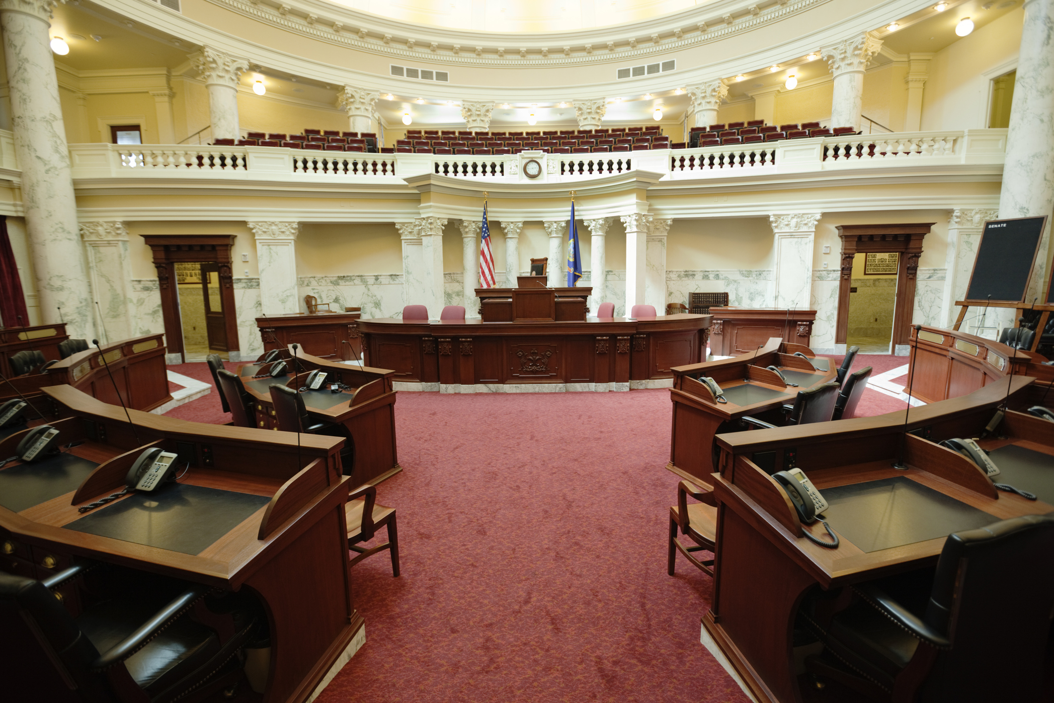 Senate Hearing