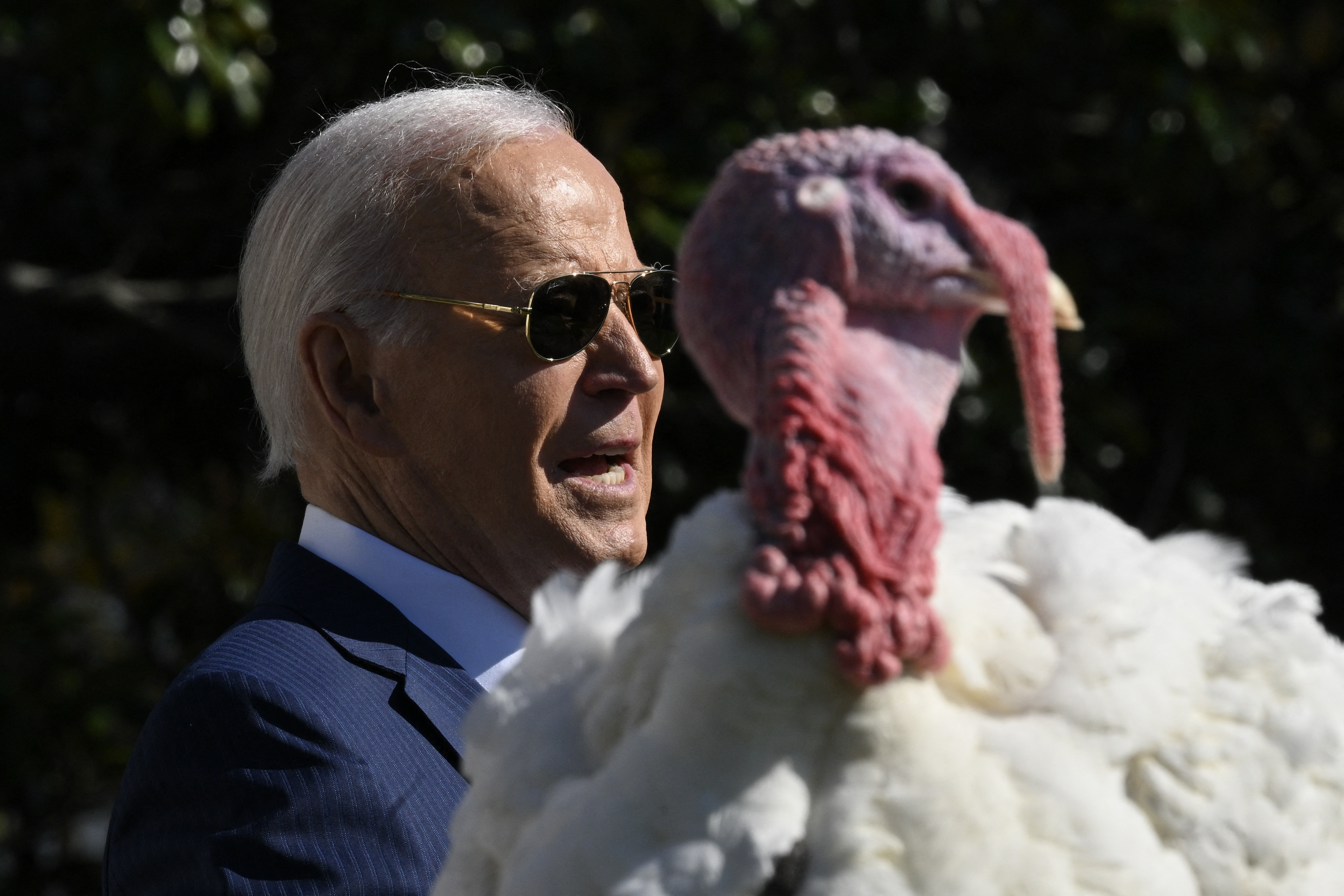 US-POLITICS-BIDEN-CULTURE-THANKSGIVING-TURKEY