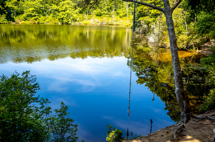 Rope Swing on Cape Cod