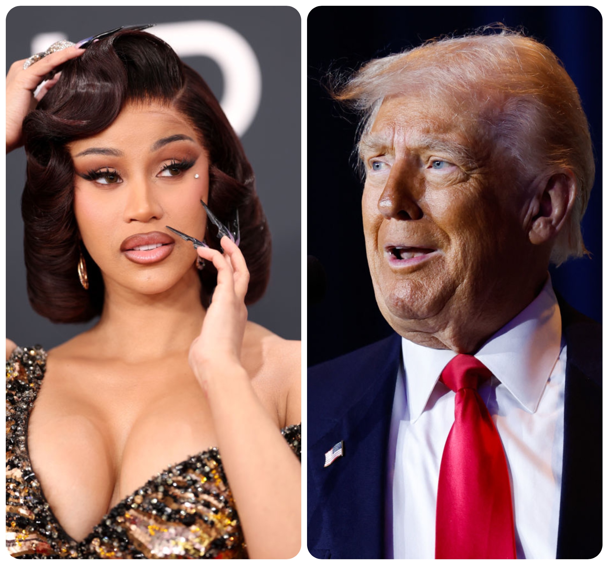 Trump x Cardi